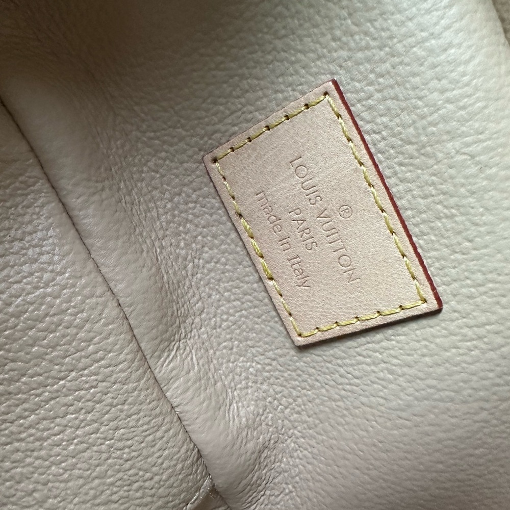 Louis Vuitton Brown Monogram Vanity Case Nano - Picture 7 of 10